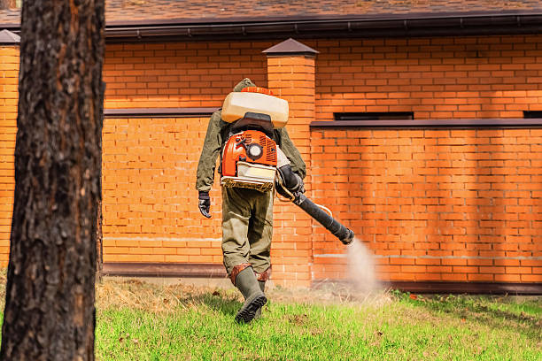 Trusted Bed Bug Control service in White City, OR - Nex Pest Control